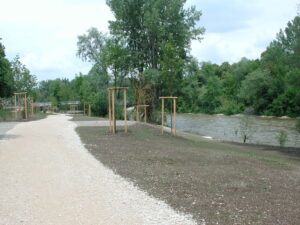 Neue Bäume als Begrünung am Flussrand