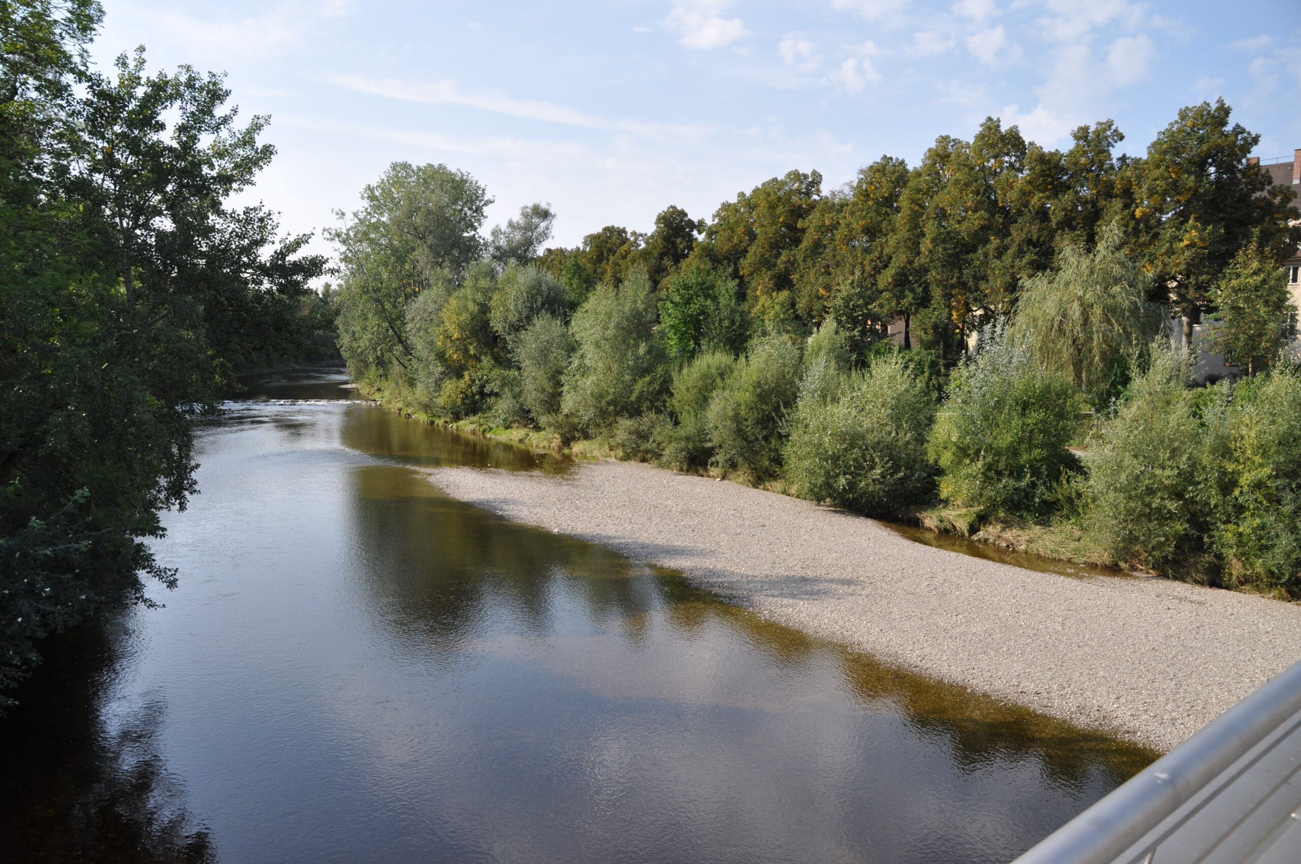 Fluss mit Schotterbank und angrenzenden Bäumen