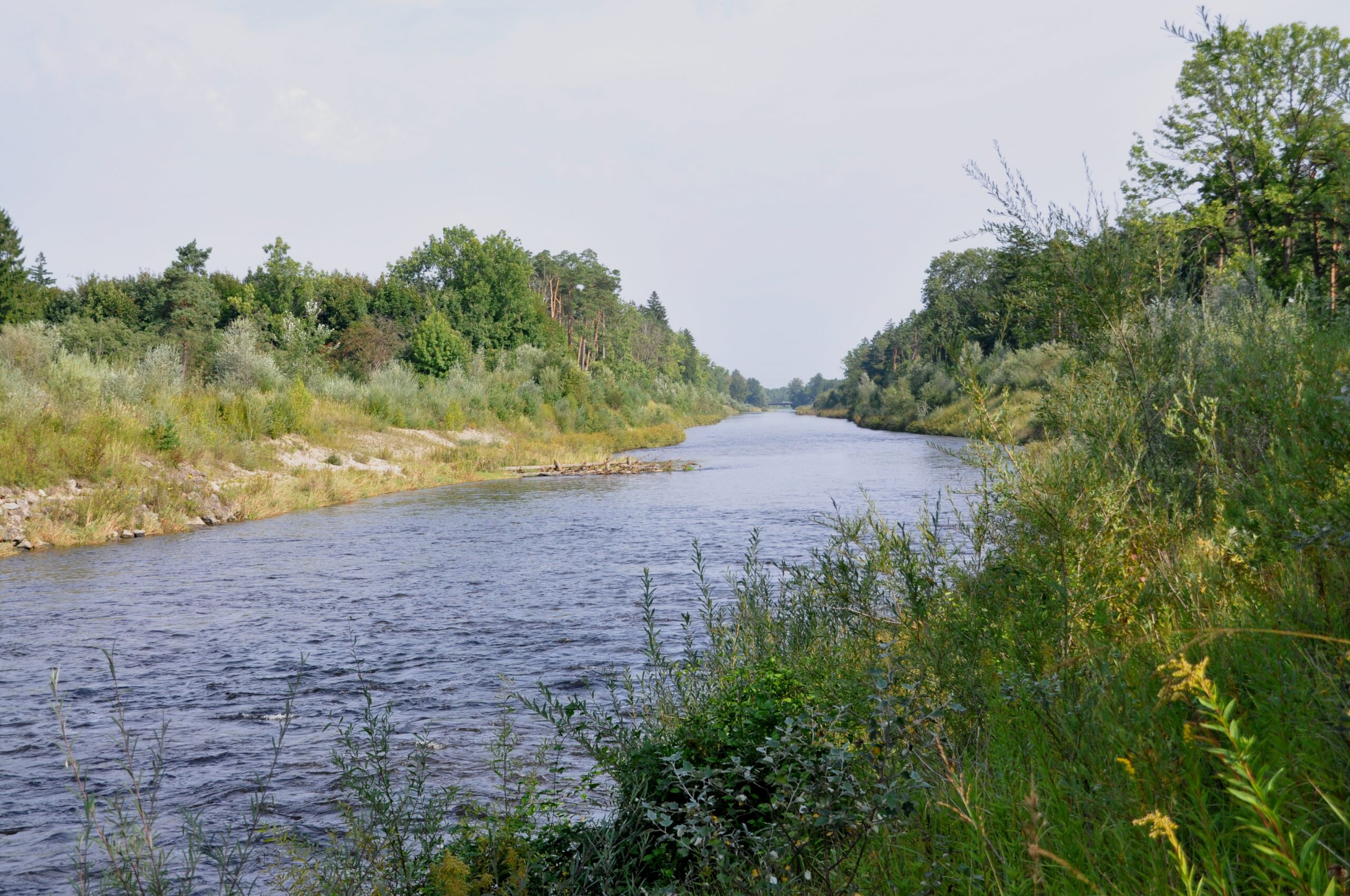 Fluss mit Begrünung