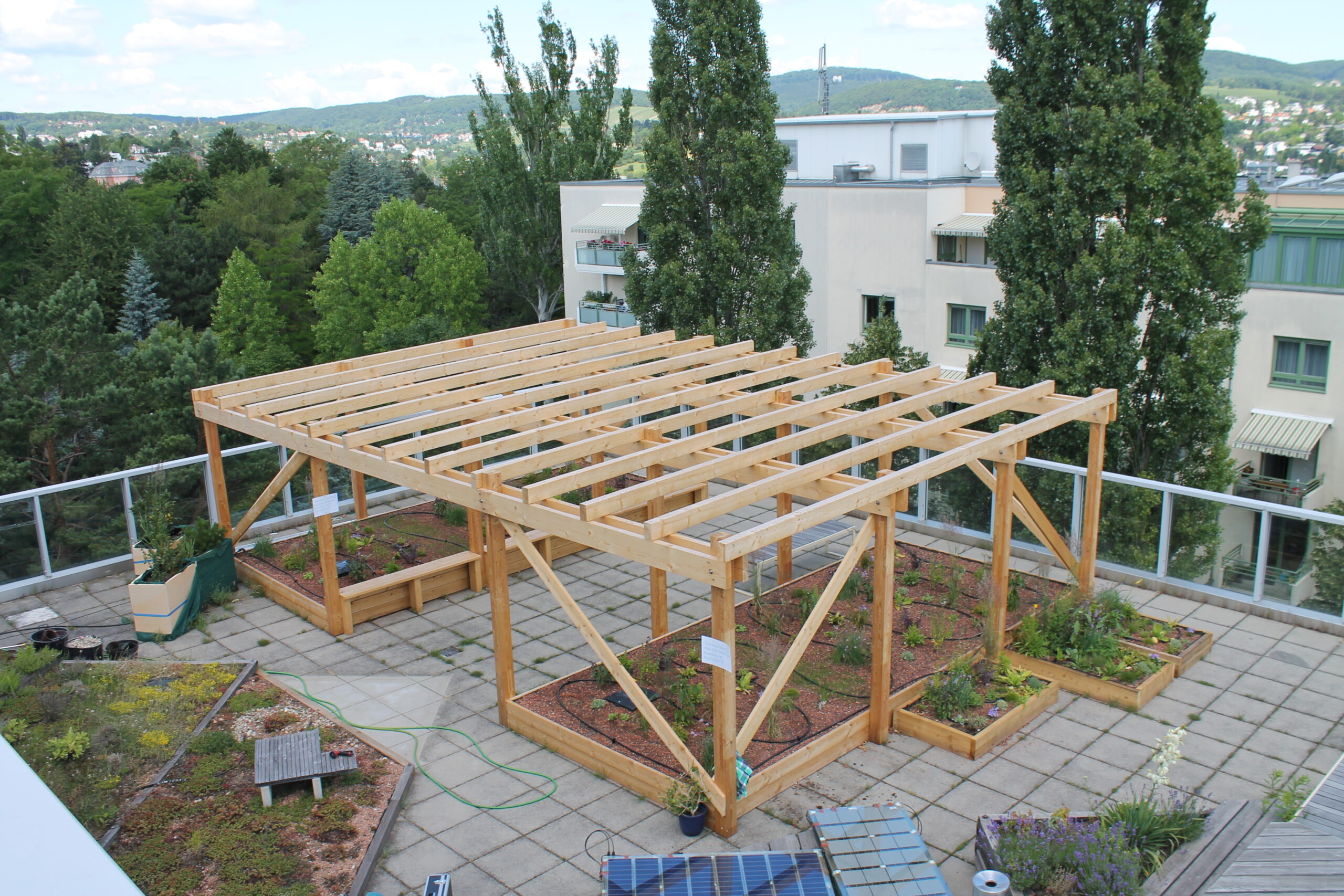 Holzgestell mit Bepflanzung auf dem Dach der BOKU